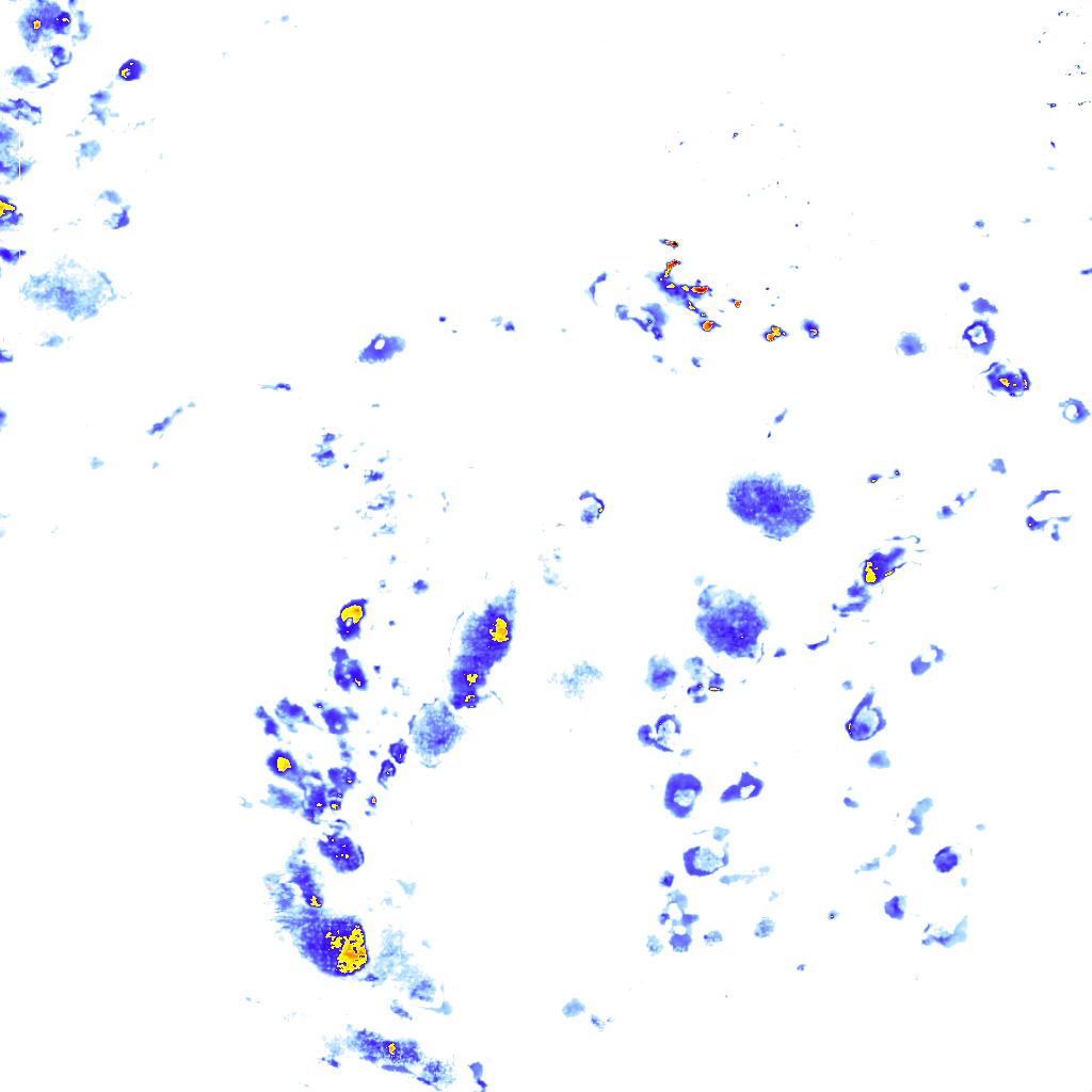 rainLayer