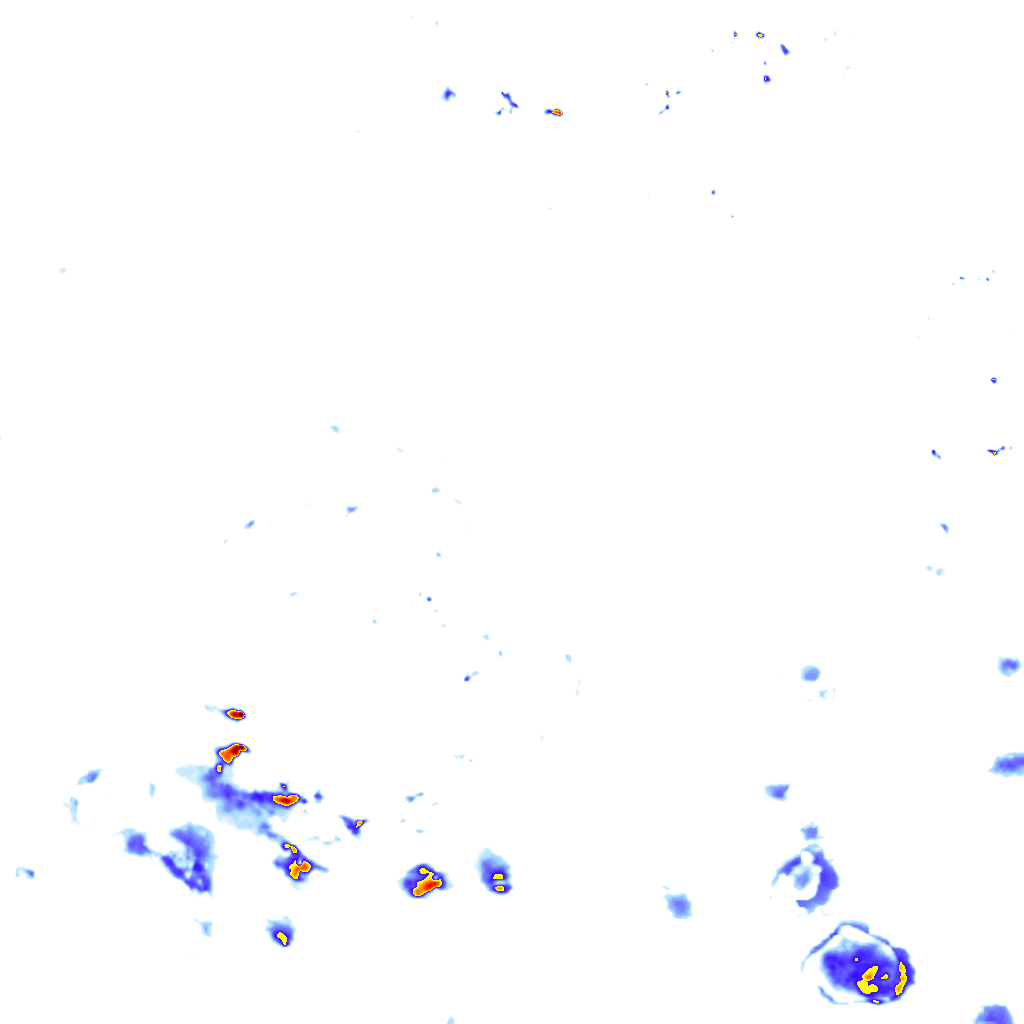 rainLayer