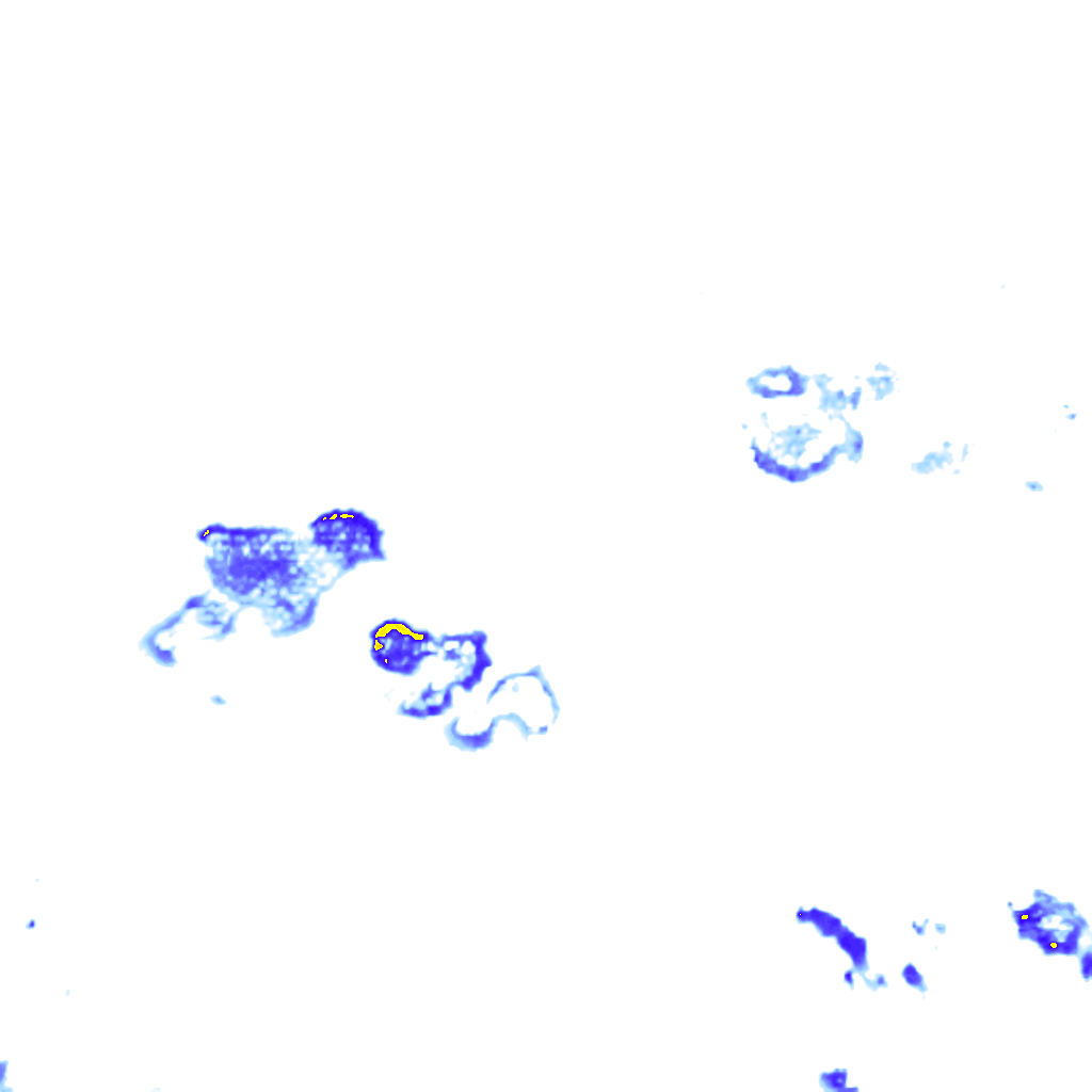 rainLayer