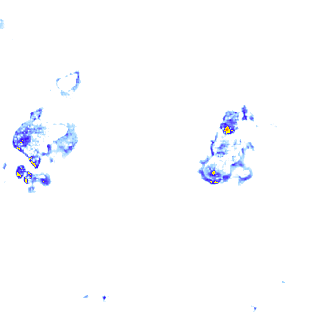 rainLayer