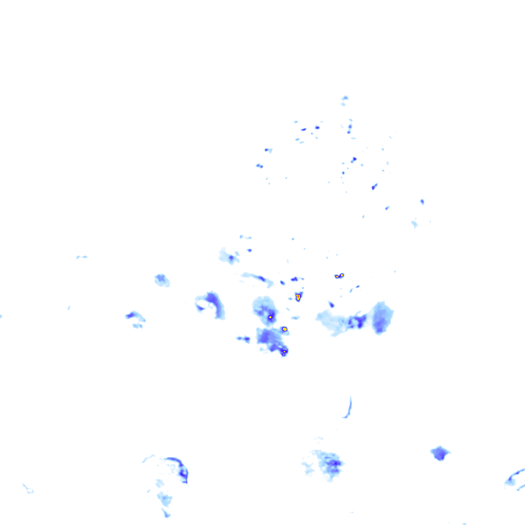 rainLayer