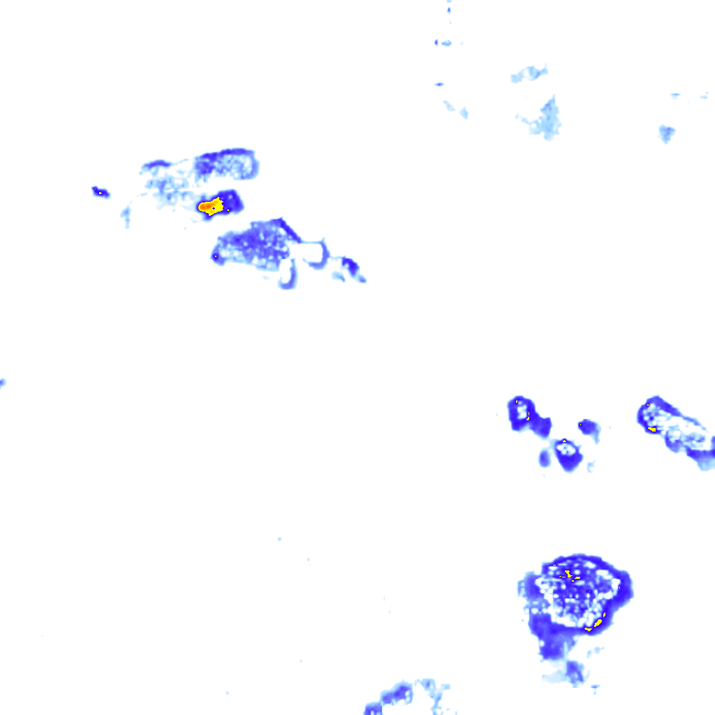 Image Layer
