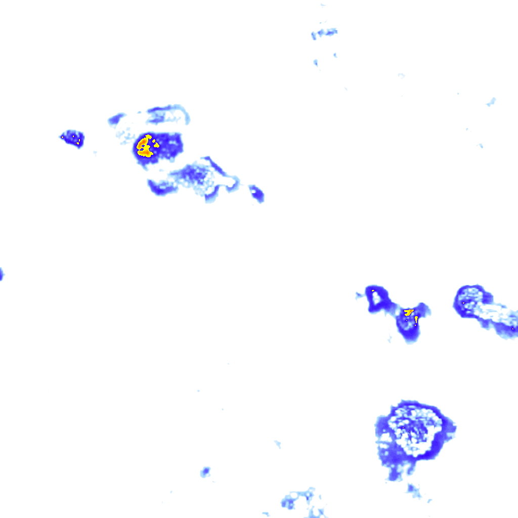 rainLayer