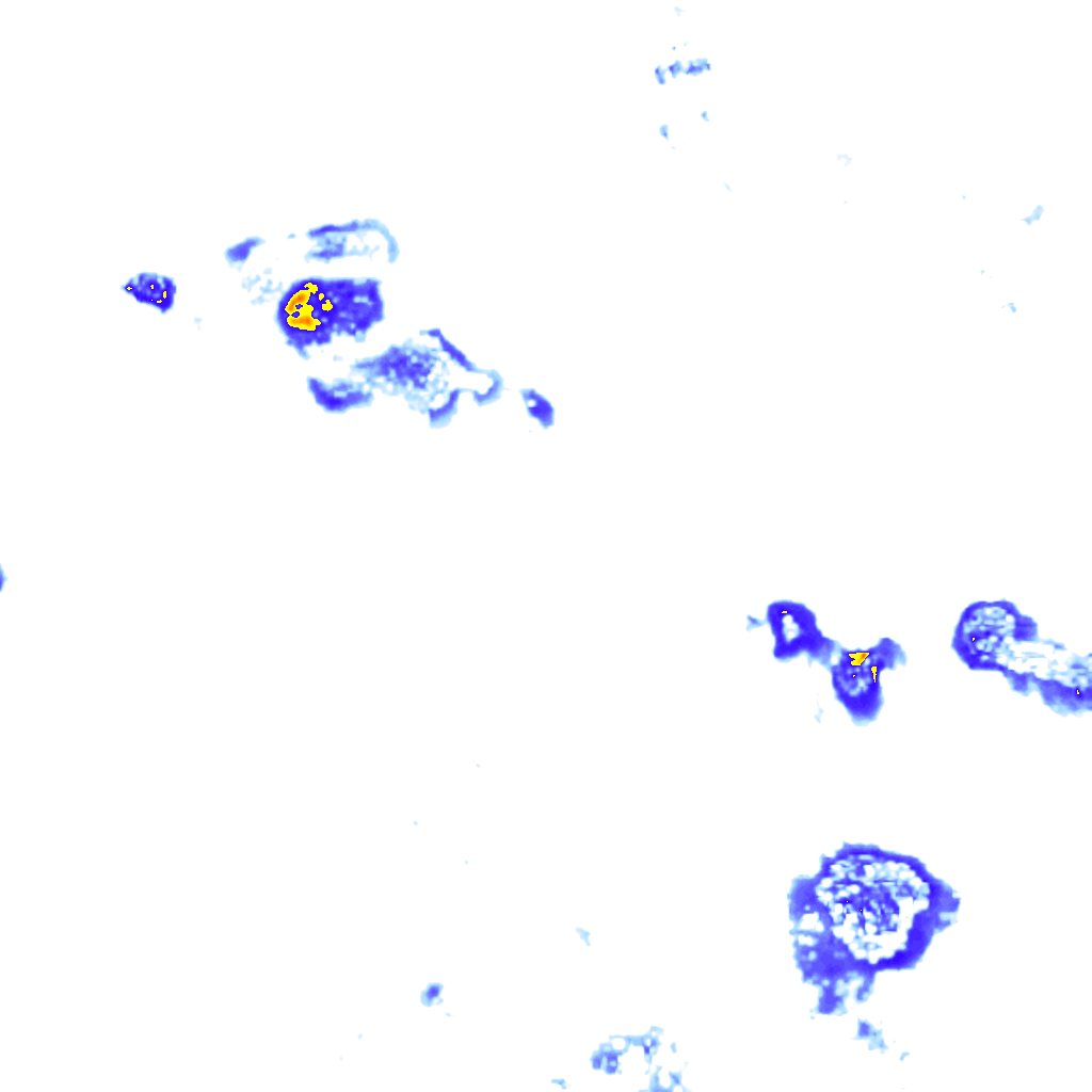Image Layer