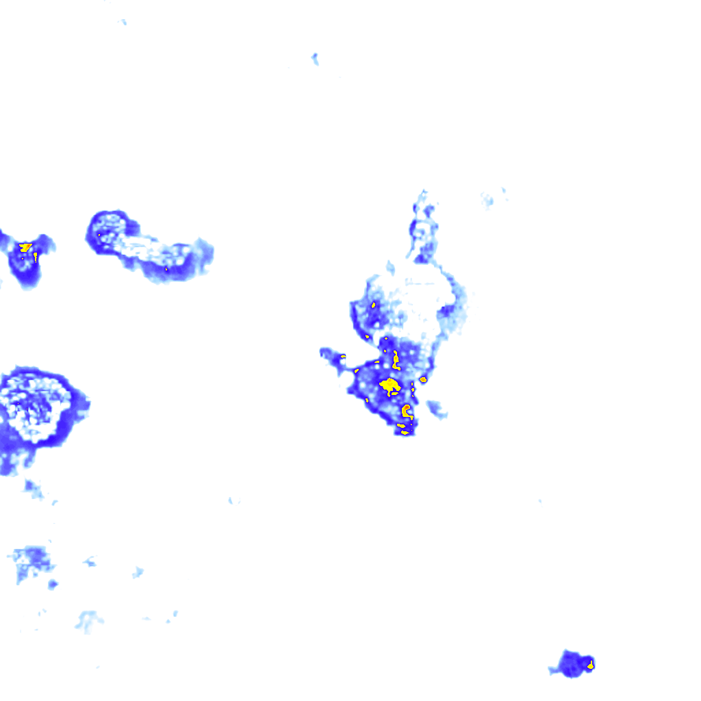Image Layer