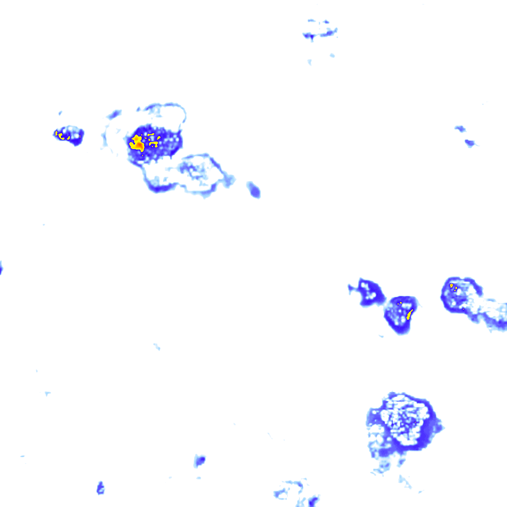 rainLayer