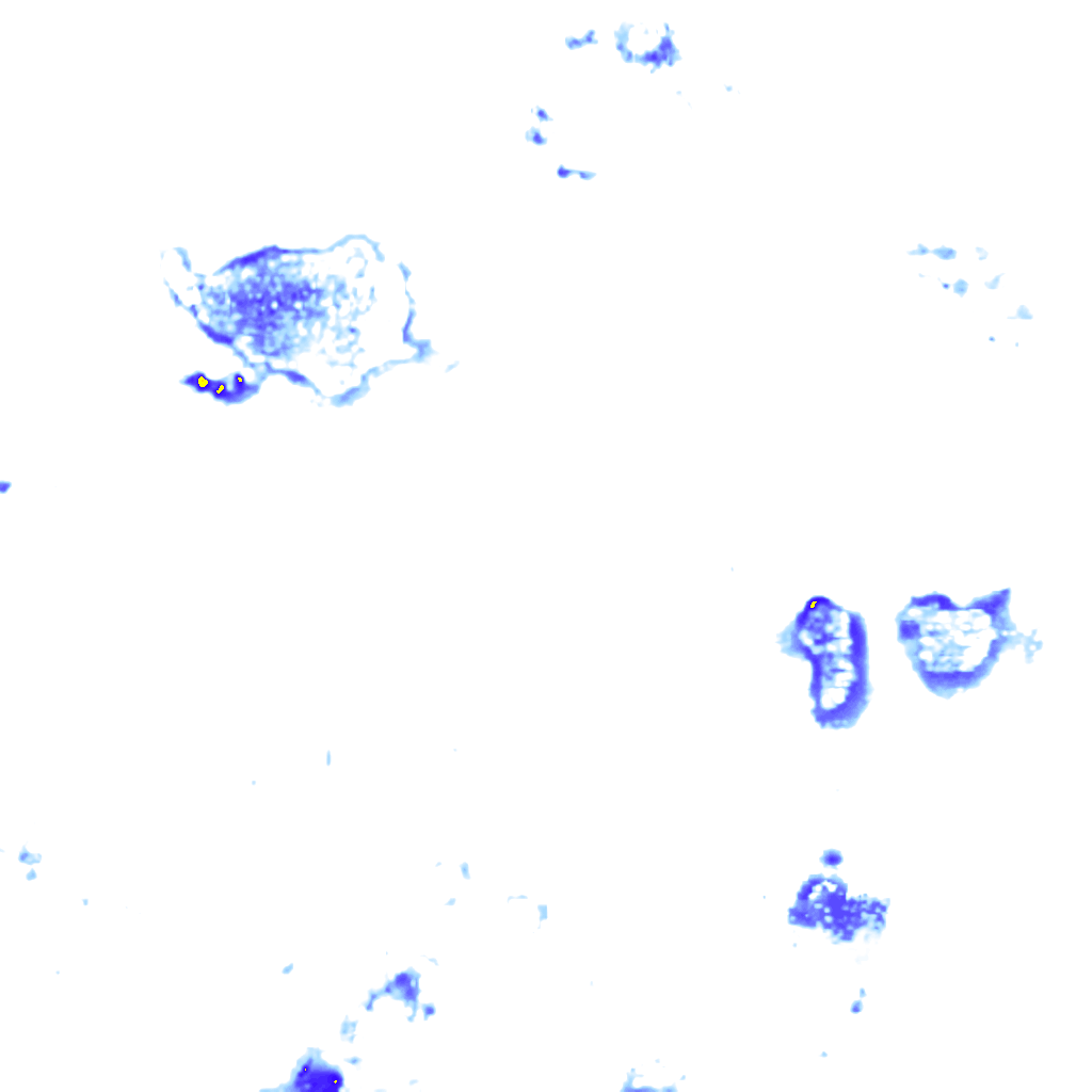 rainLayer