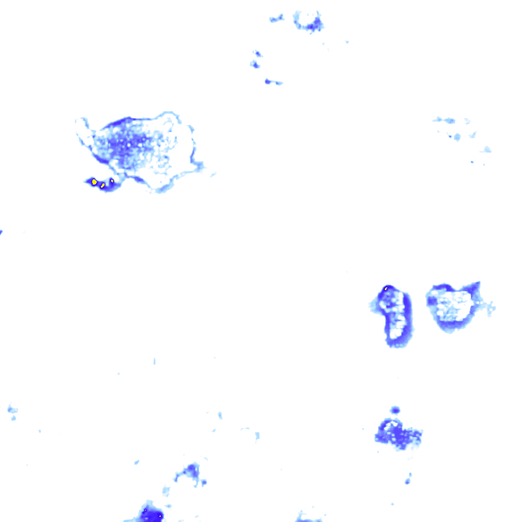 rainLayer