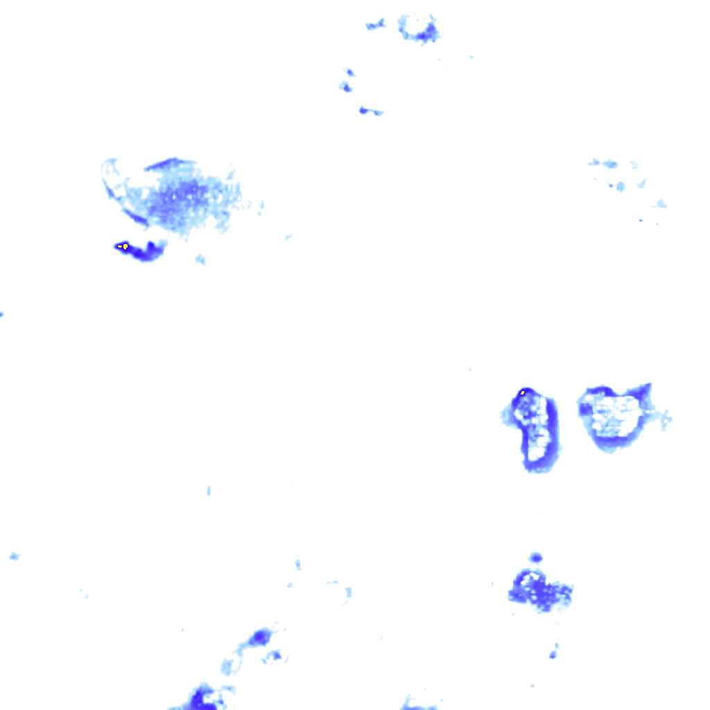 rainLayer