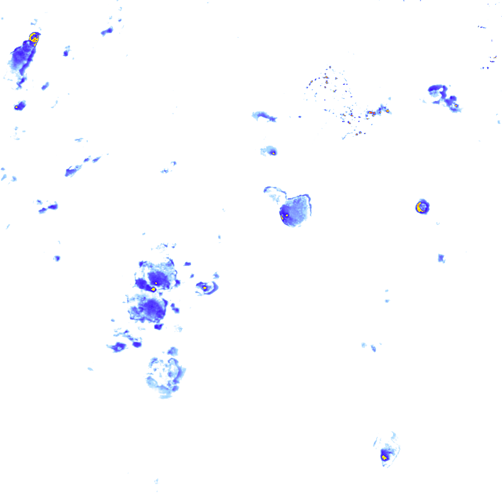 rainLayer