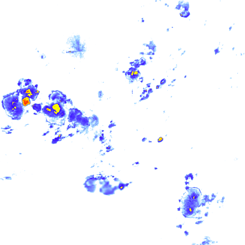 Image Layer