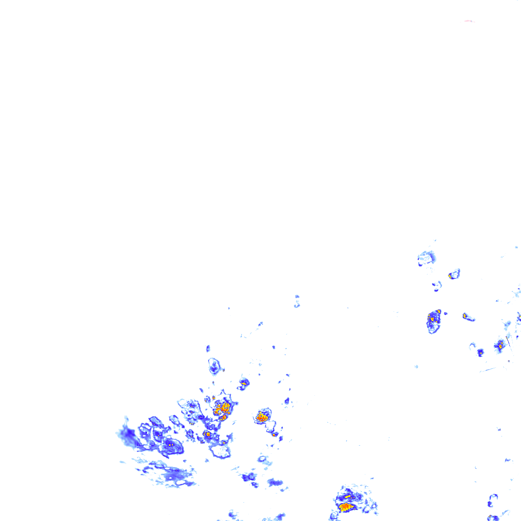 rainLayer