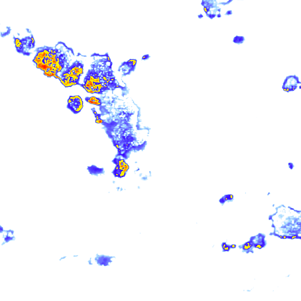 Image Layer