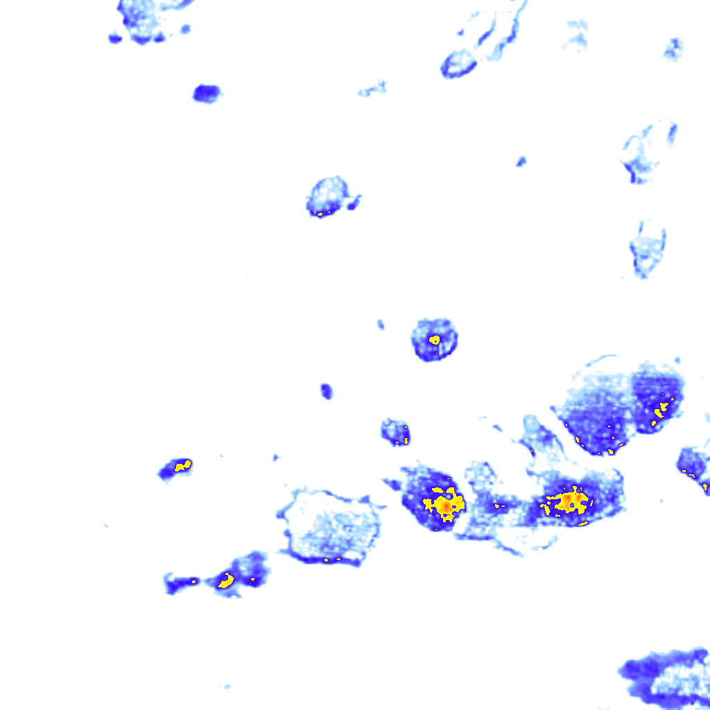 Image Layer