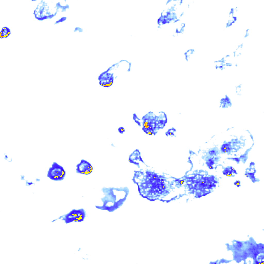 Image Layer