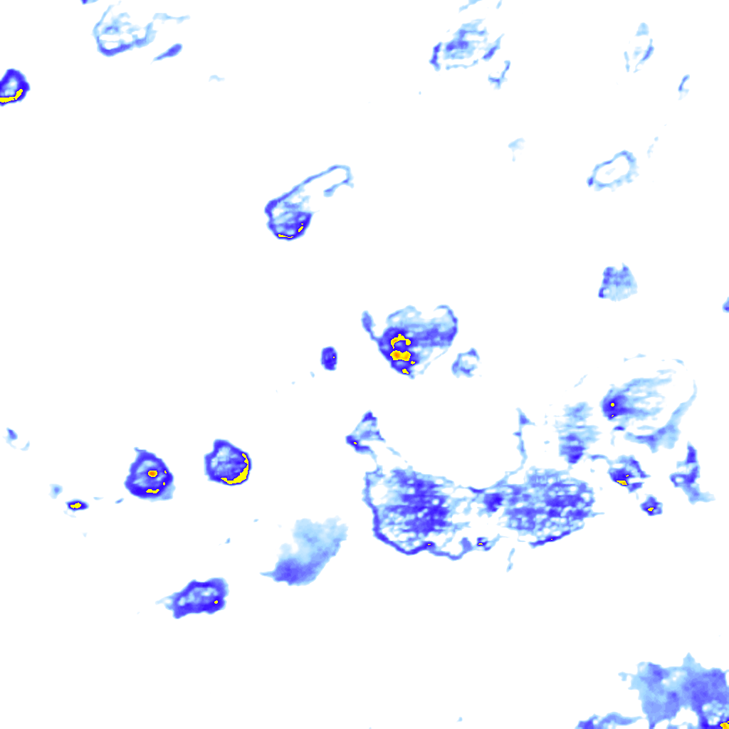 Image Layer