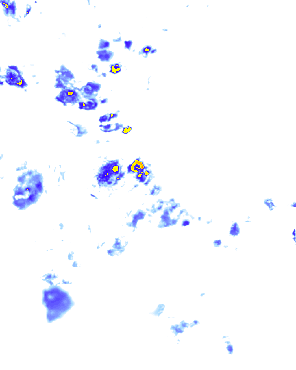 rainLayer