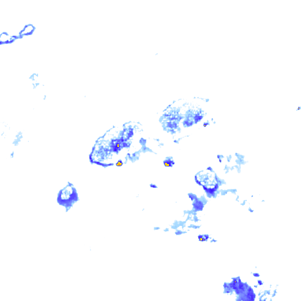 rainLayer