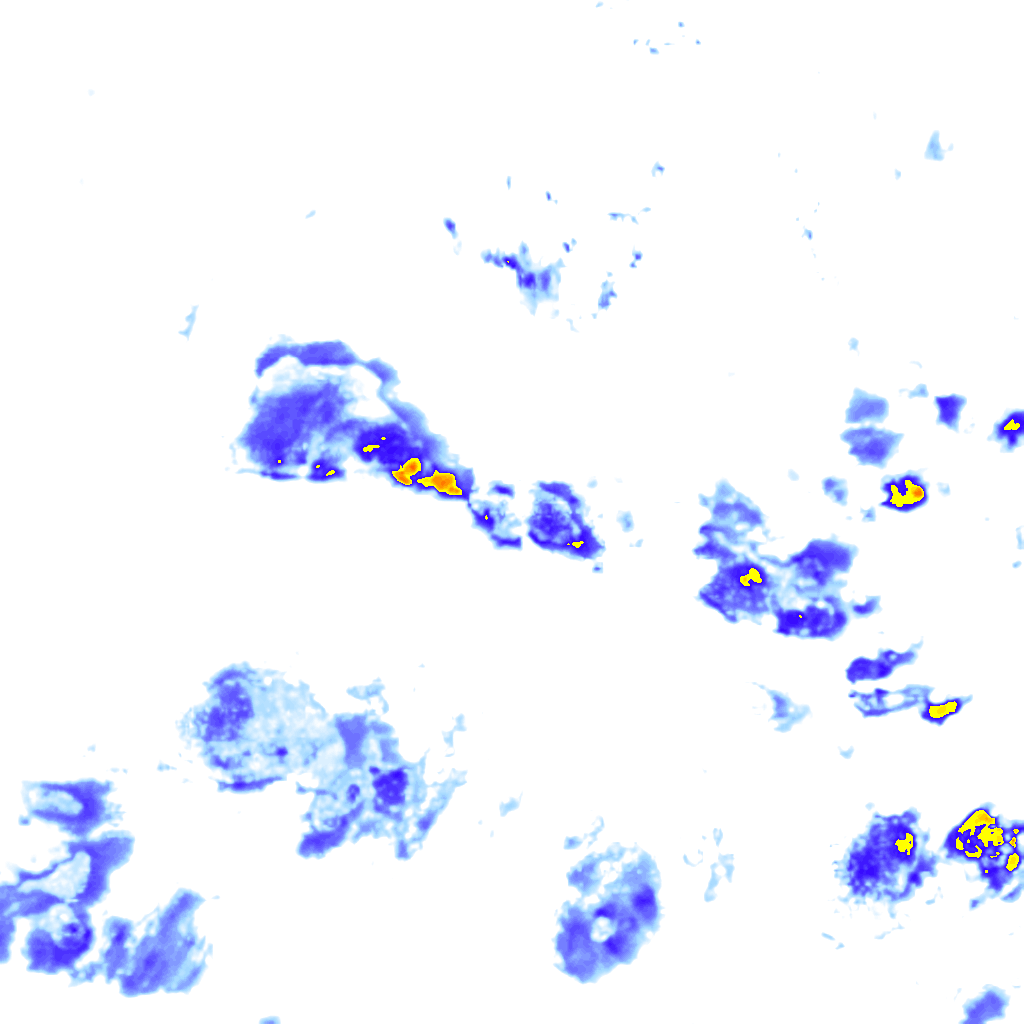 rainLayer