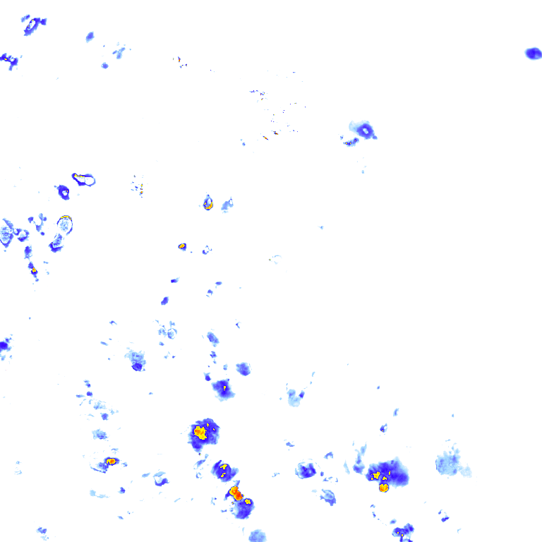 rainLayer