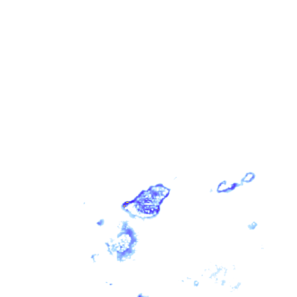 rainLayer