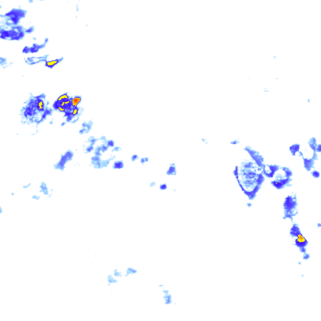 Image Layer