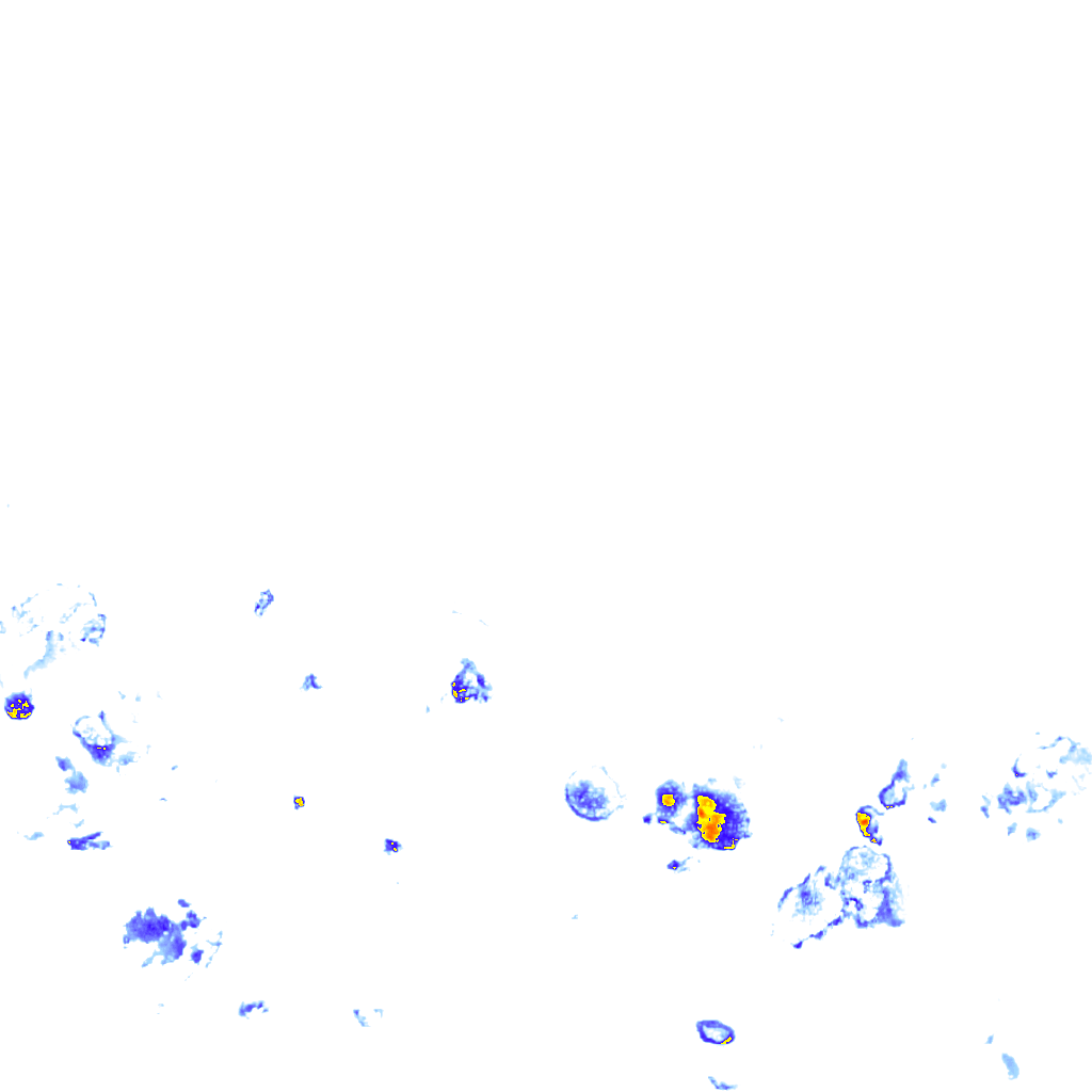 rainLayer