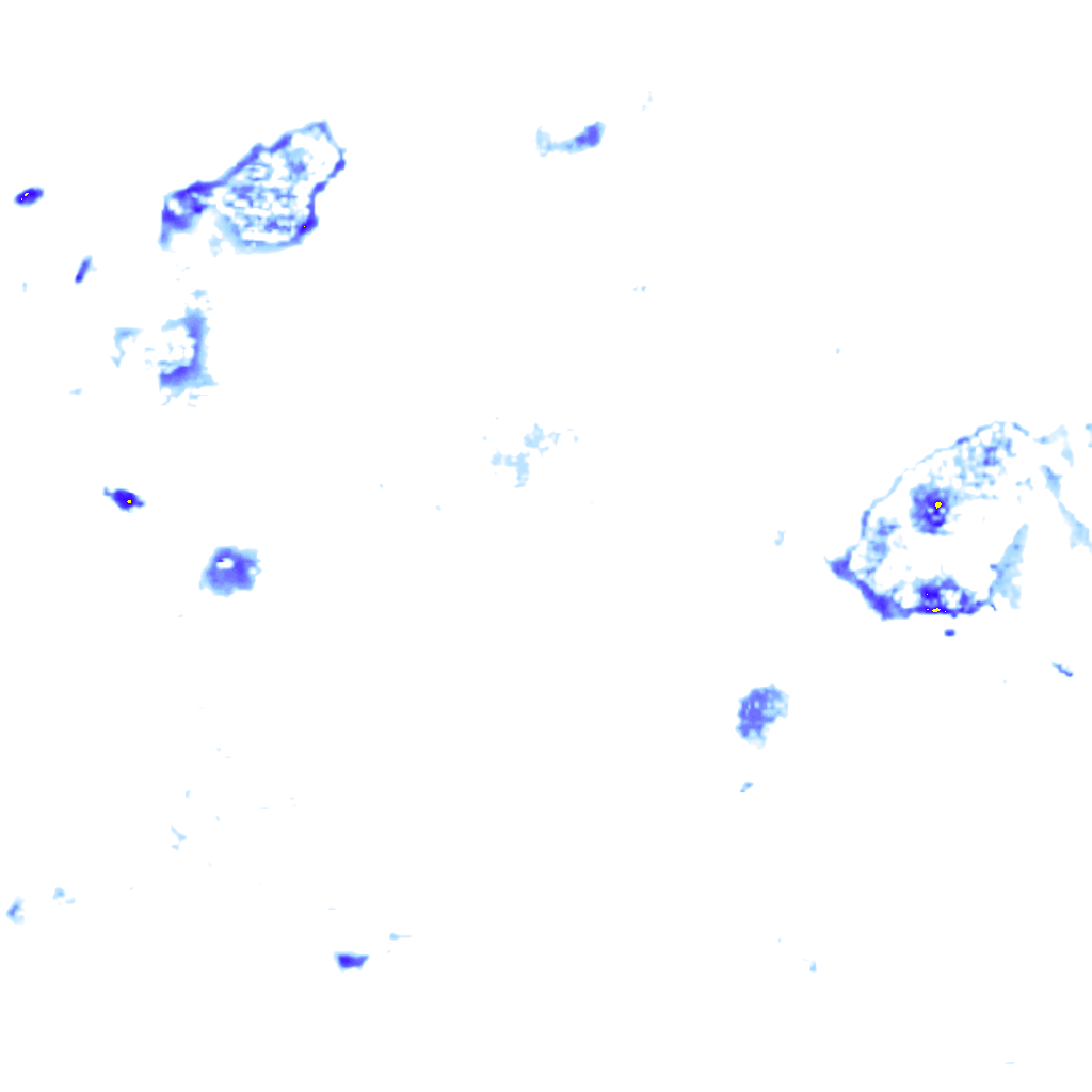 rainLayer