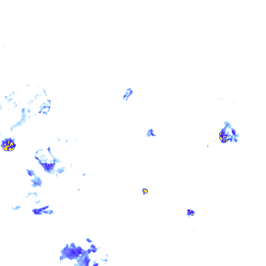 rainLayer