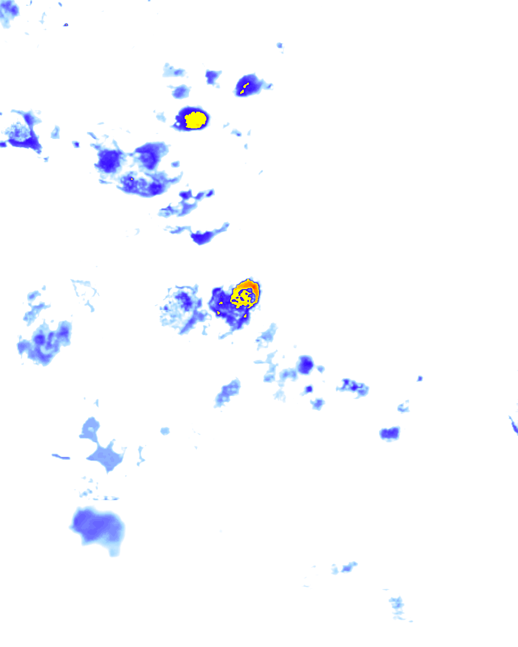 rainLayer