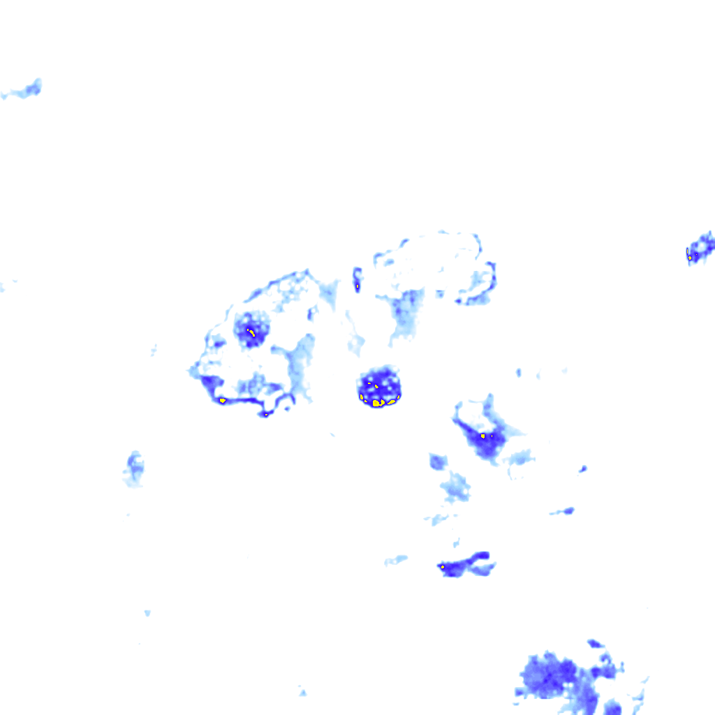 rainLayer