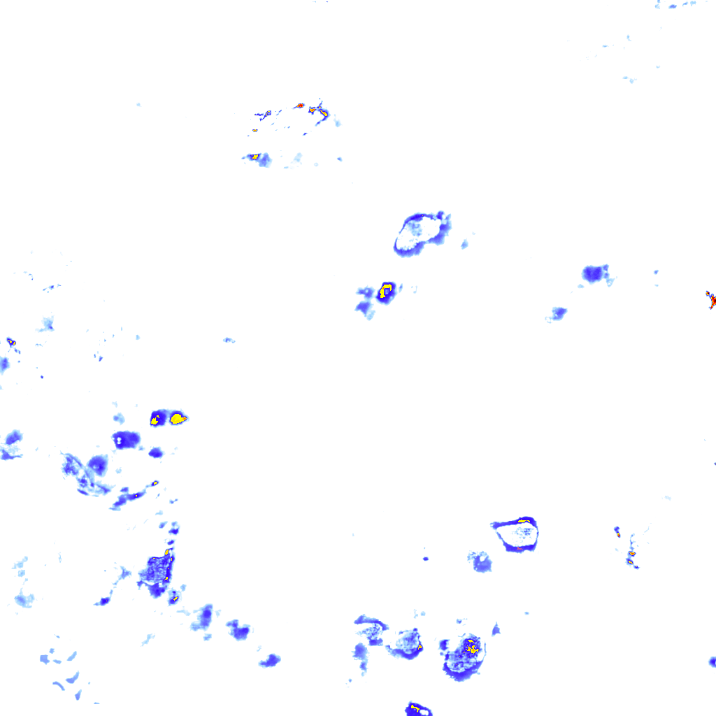 rainLayer