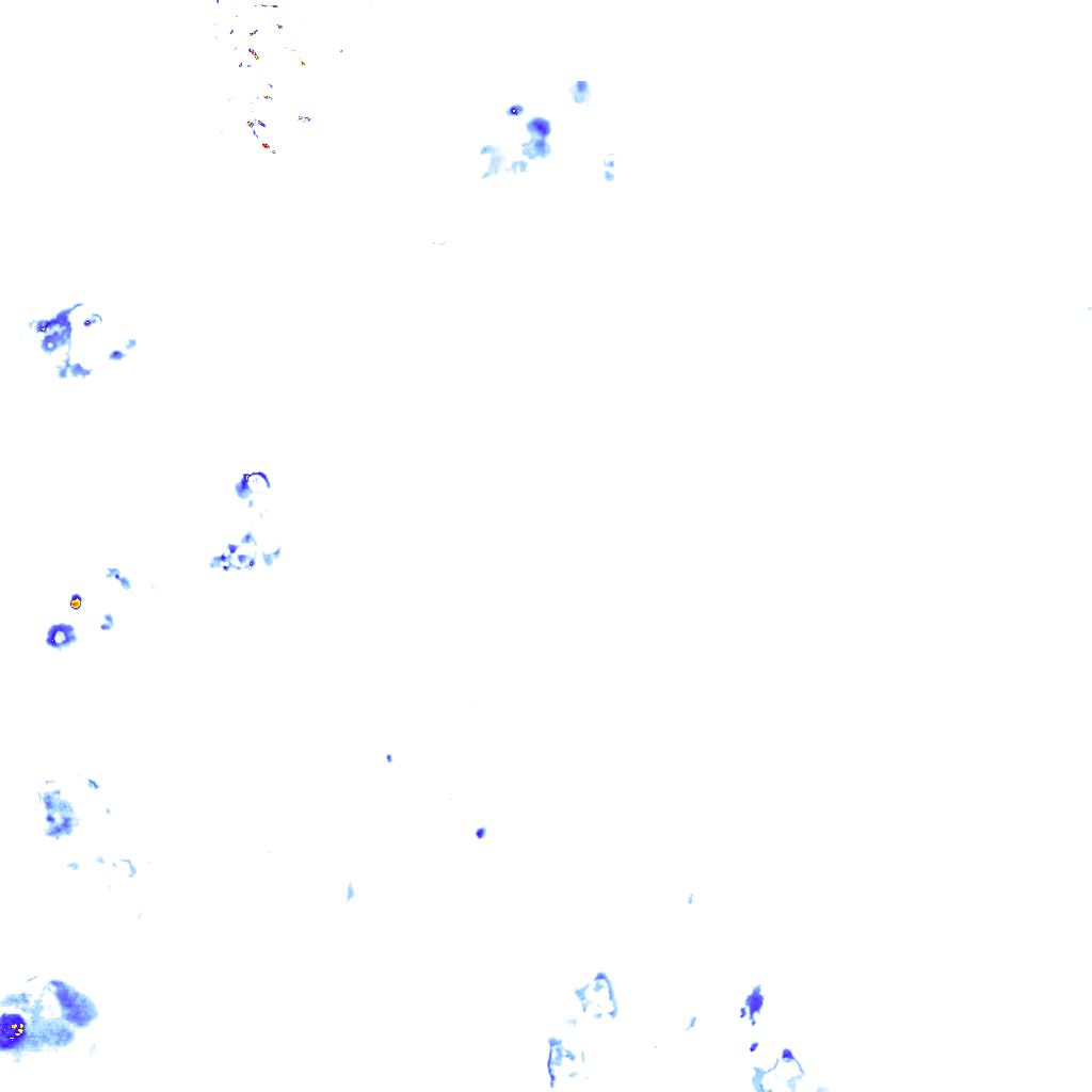 rainLayer