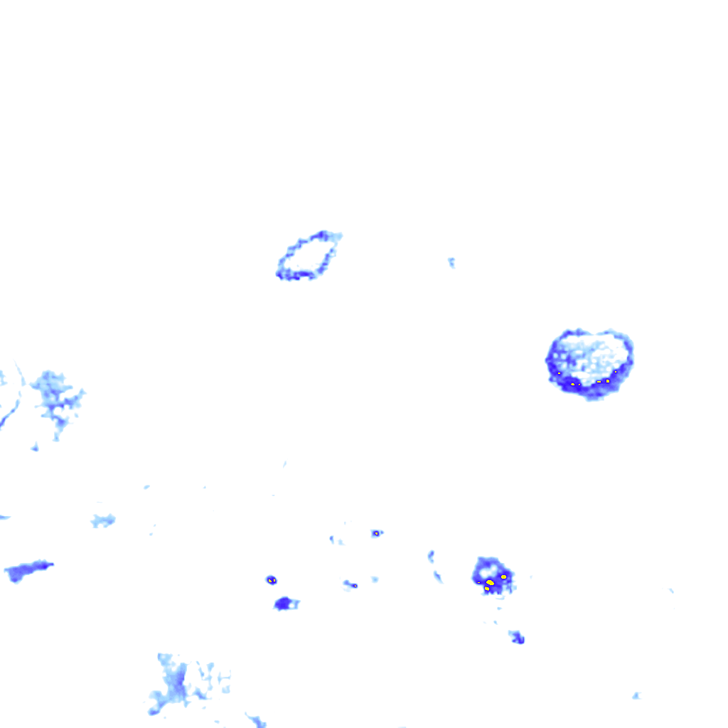 Image Layer