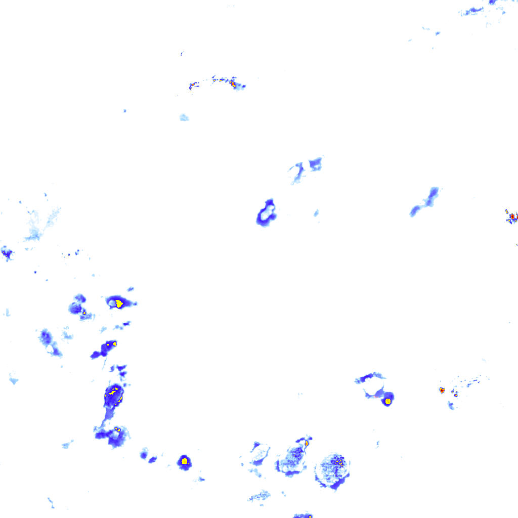 rainLayer