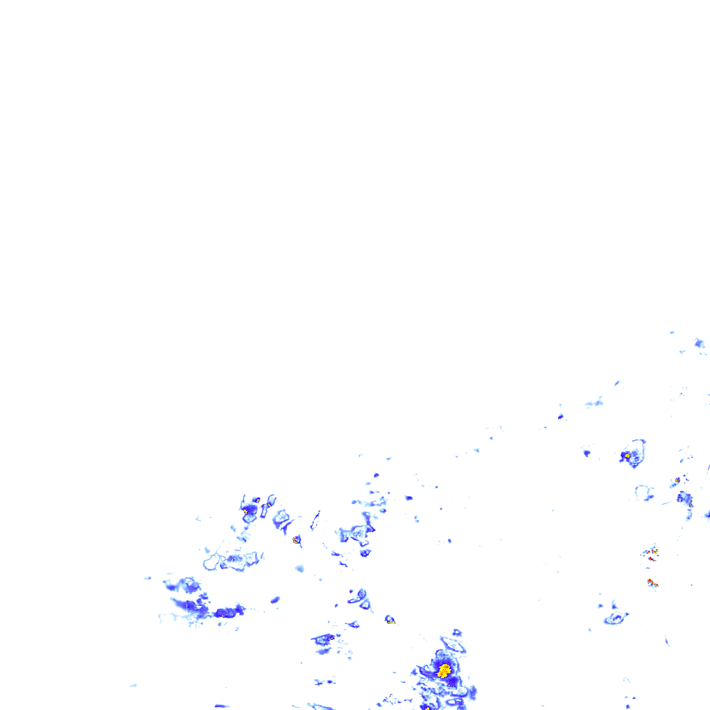 rainLayer