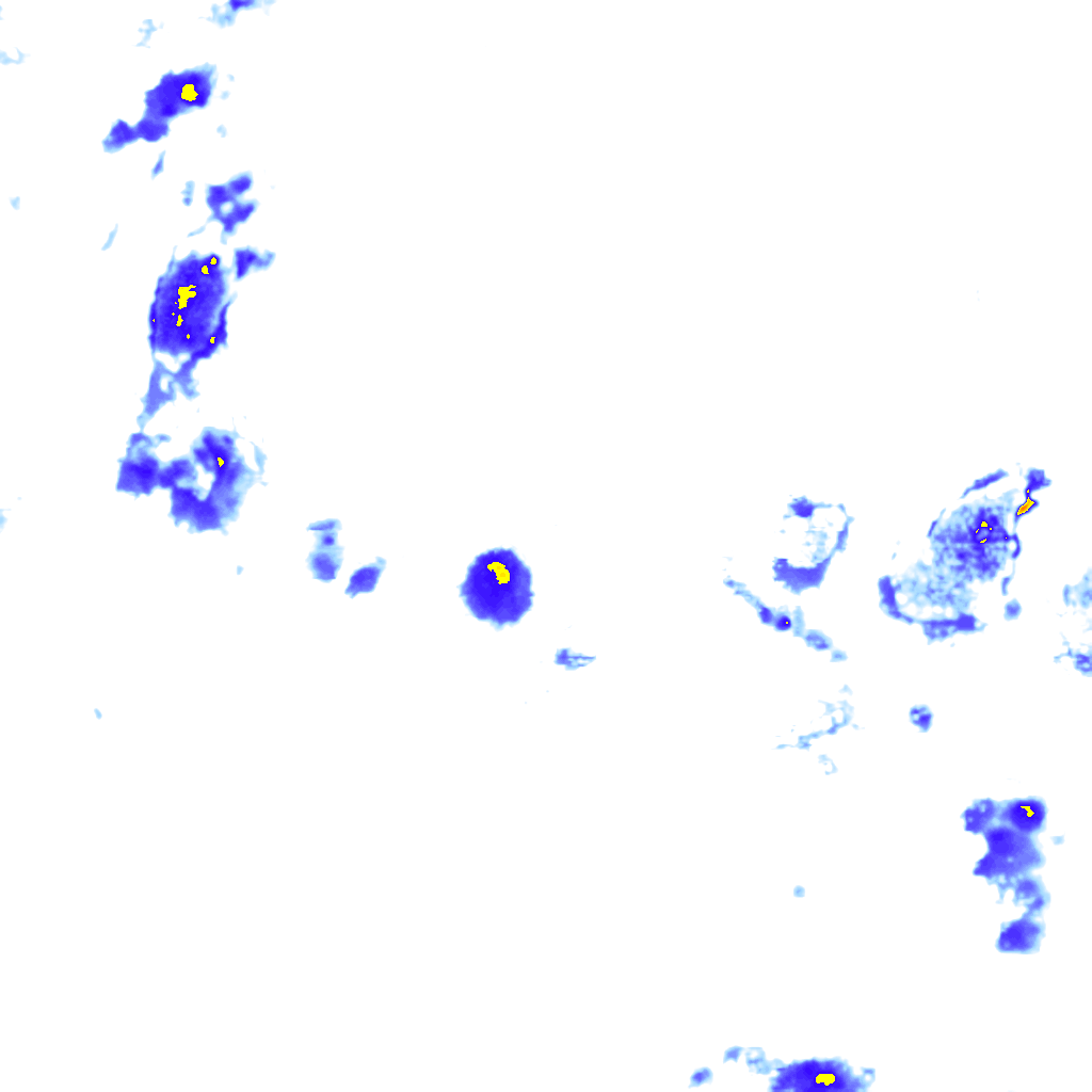 Image Layer