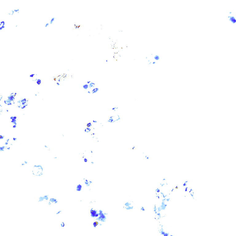 rainLayer