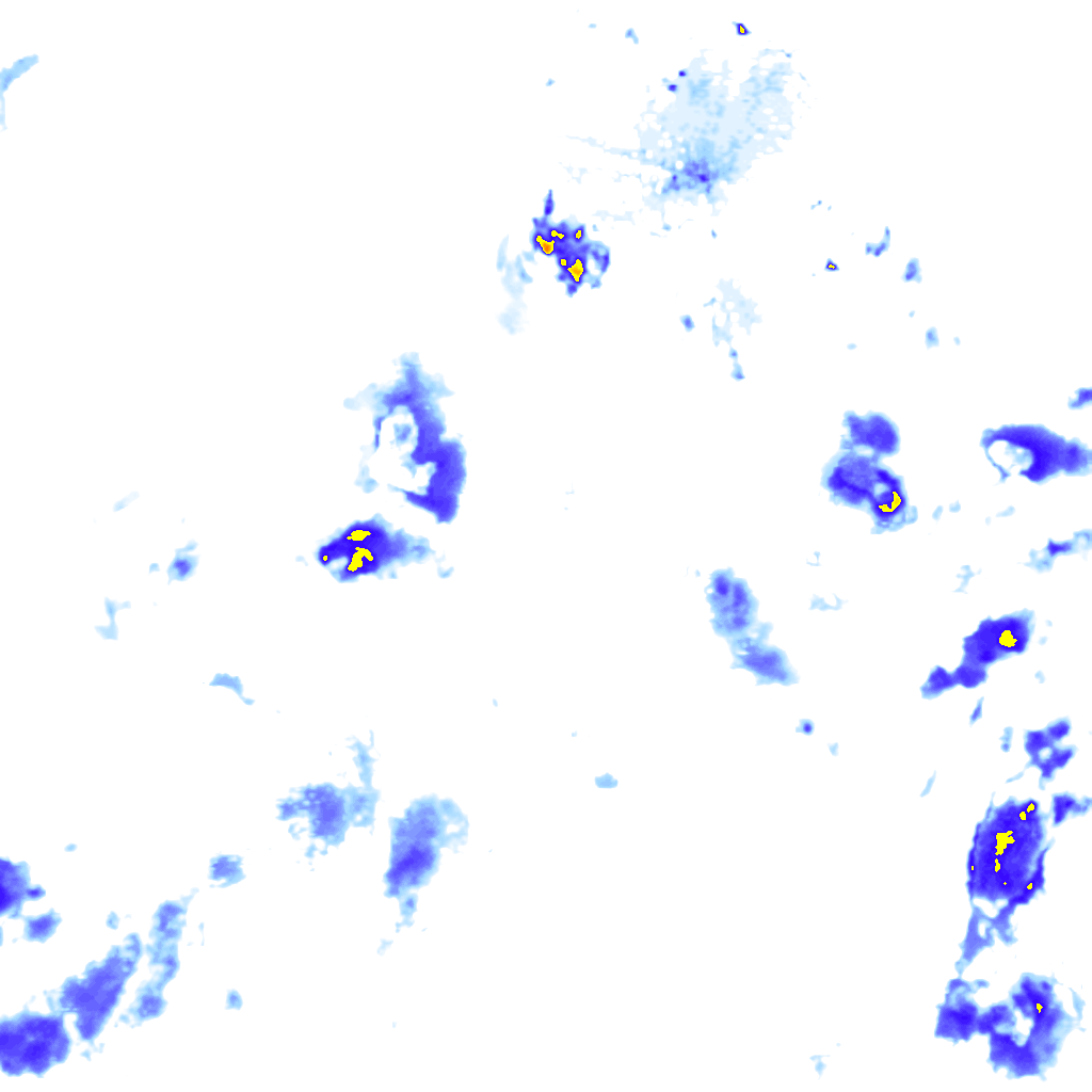 rainLayer
