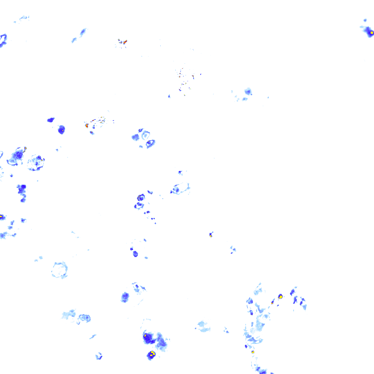 rainLayer