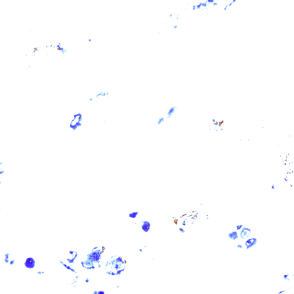 rainLayer