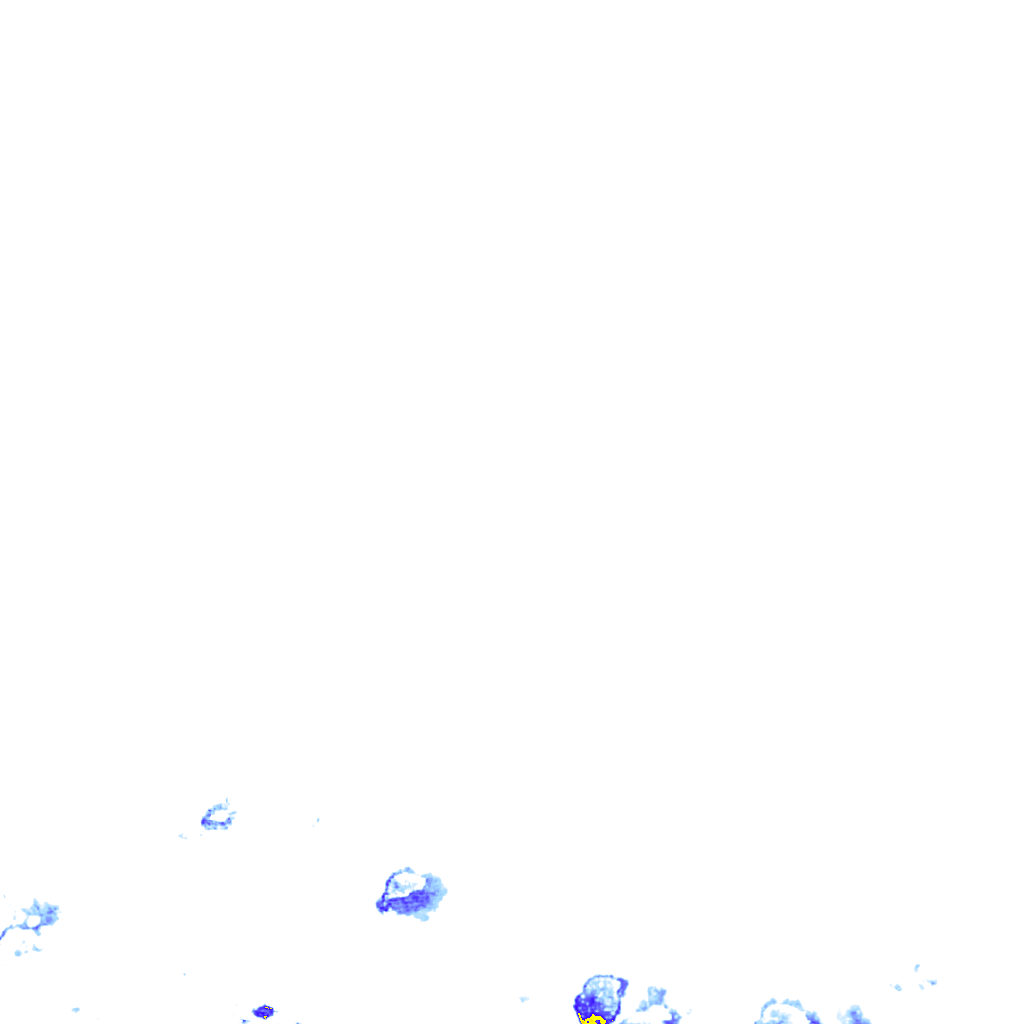 rainLayer