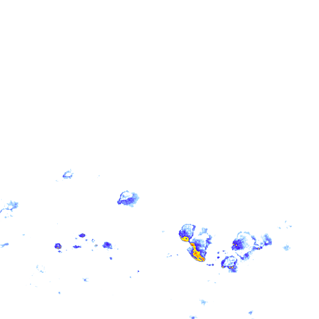 rainLayer