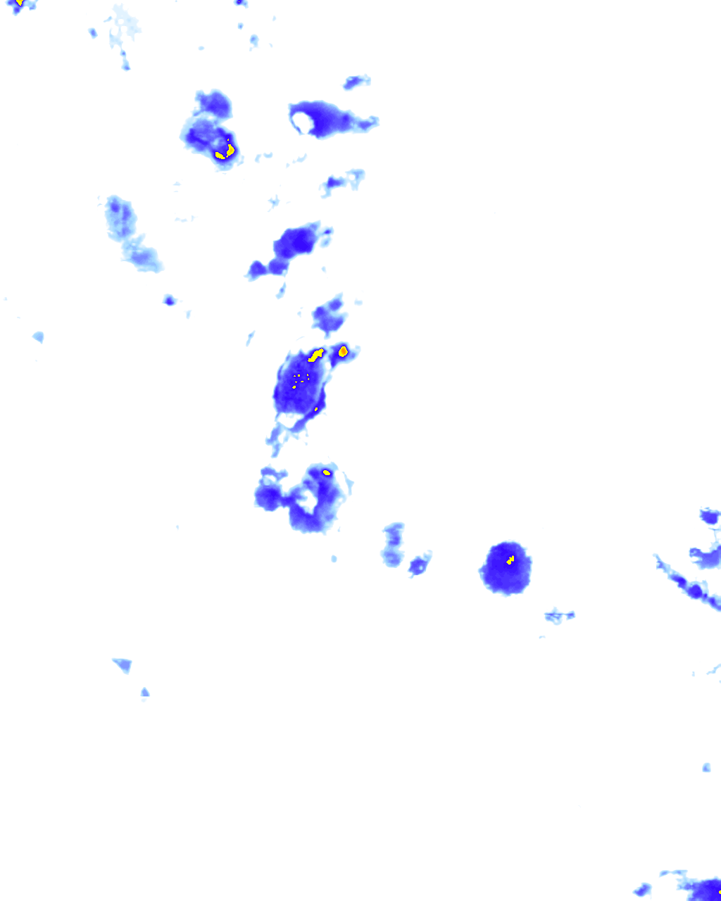 rainLayer