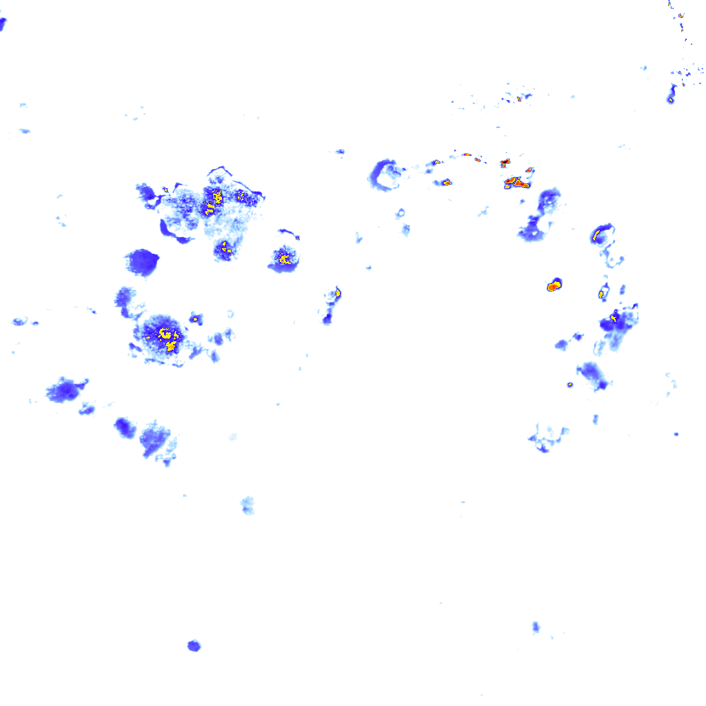 rainLayer