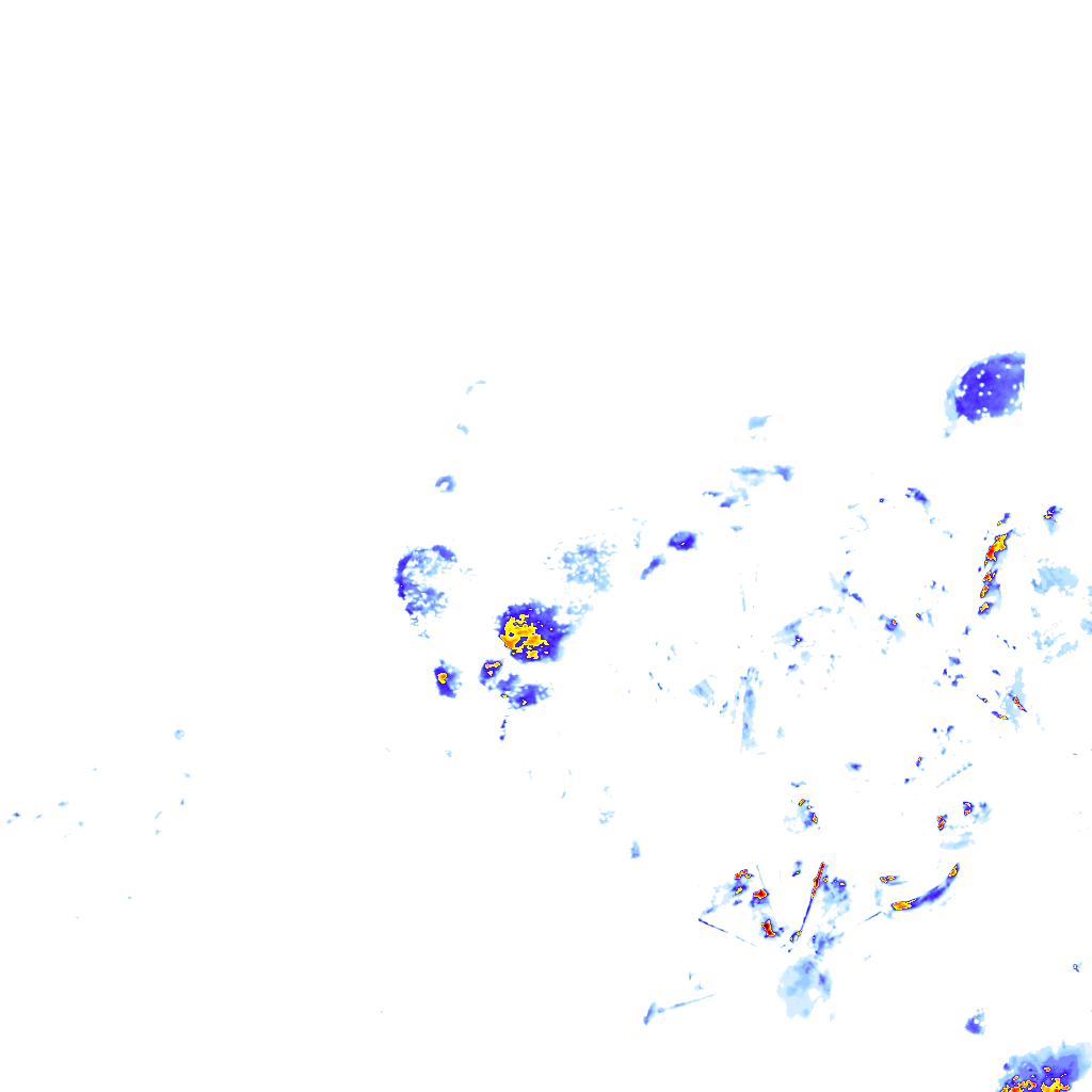 rainLayer
