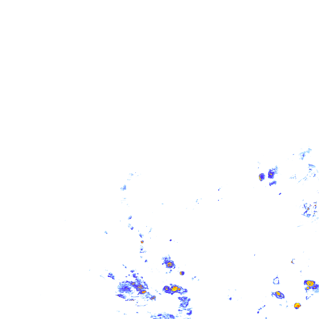 rainLayer
