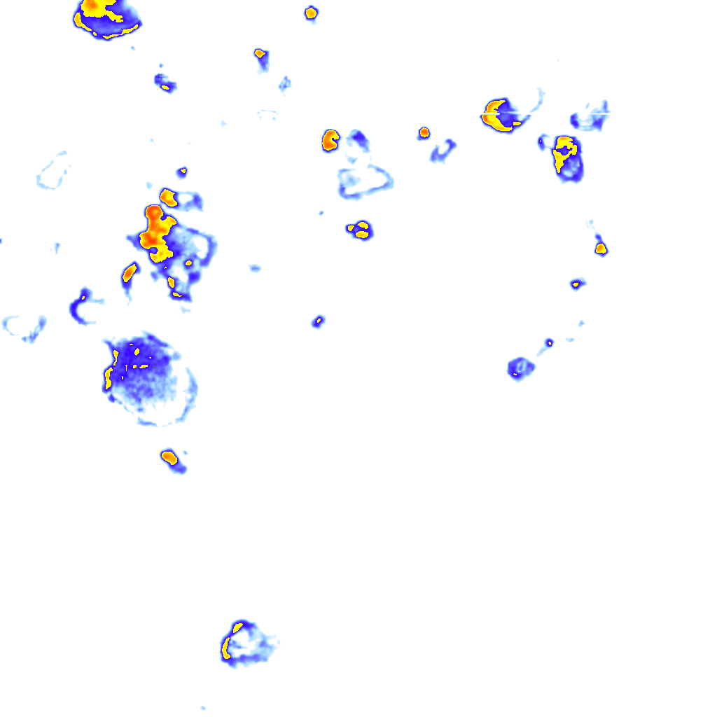 rainLayer