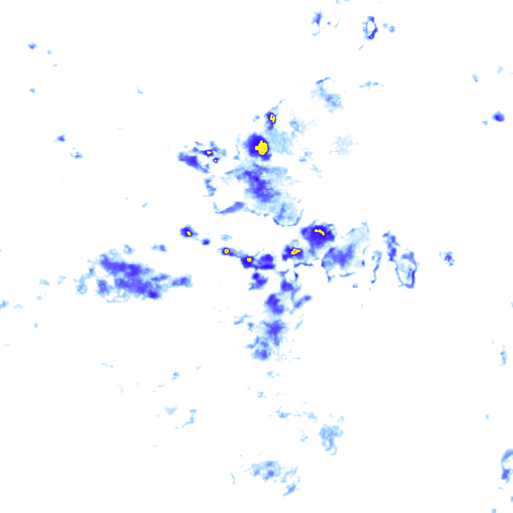 rainLayer