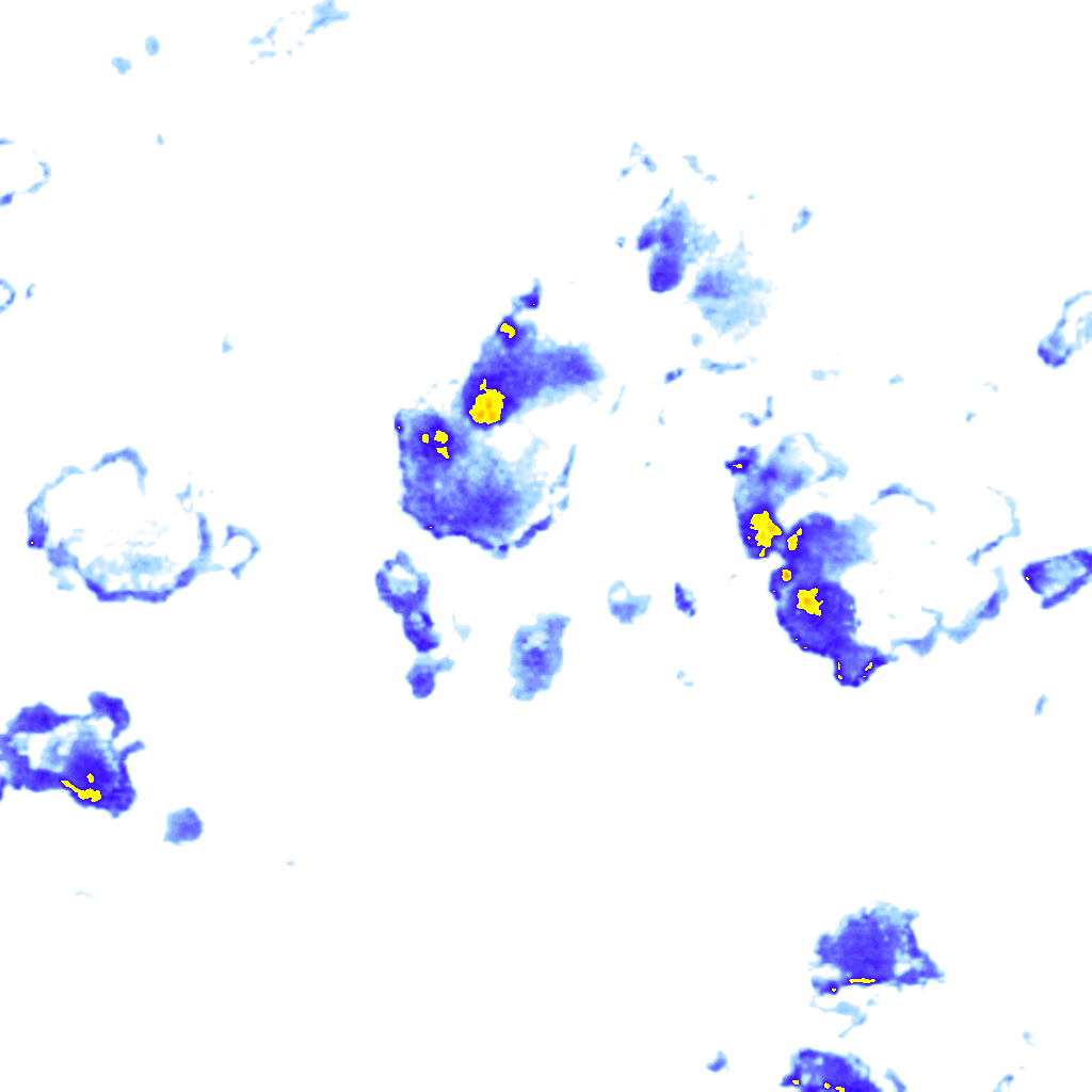 Image Layer